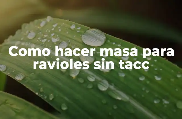 Como Hacer Masa para Ravioles sin Tacc