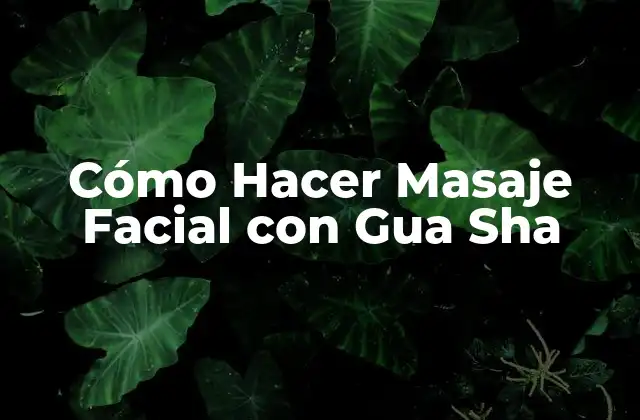 Cómo Hacer Masaje Facial con Gua Sha