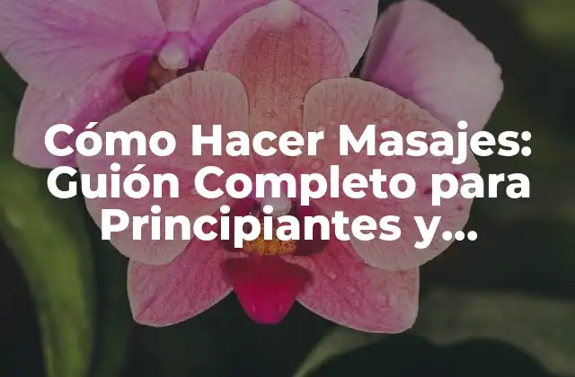 Cómo Hacer Masajes: Guión Completo para Principiantes y Experimentados