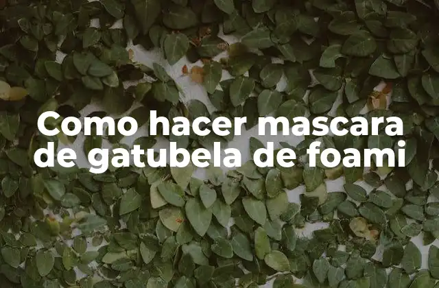 Como Hacer Mascara de Gatubela de Foami