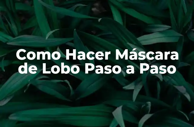¿Qué es una Máscara de Lobo y para Qué Sirve?
