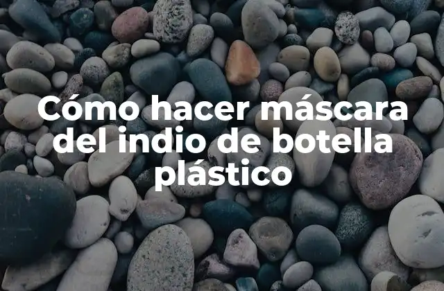 ¿Qué es una máscara del indio de botella plástico?