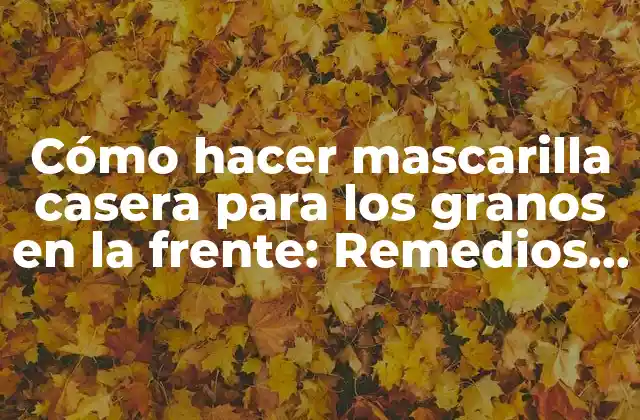 Cómo Hacer Mascarilla Casera para los Granos en la Frente: Remedios Naturales y Efectivos