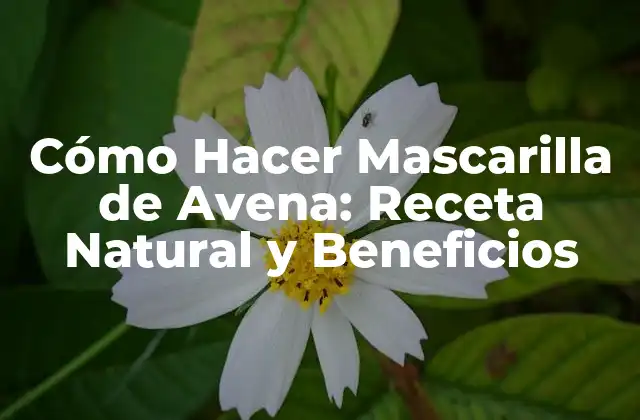 Cómo Hacer Mascarilla de Avena: Receta Natural y Beneficios