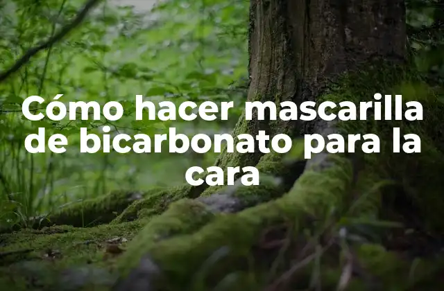 Cómo Hacer Mascarilla de Bicarbonato para la Cara