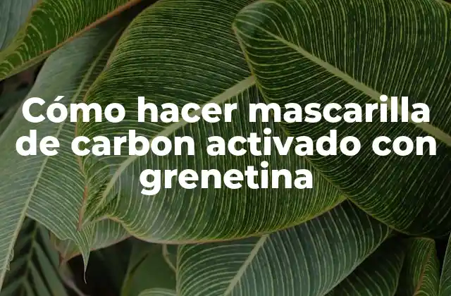 ¿Qué es una mascarilla de carbon activado con grenetina?