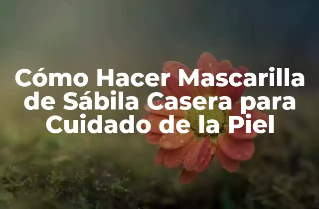 Cómo Hacer Mascarilla de Sábila Casera para Cuidado de la Piel 2 Beneficios de la Mascarilla de Sábila para la Piel