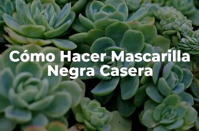 Cómo Hacer Mascarilla Negra Casera 2 ¿Qué es una Mascarilla Negra Casera y para Qué Sirve?