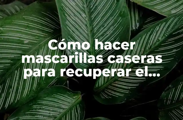 Cómo Hacer Mascarillas Caseras para Recuperar el Cabello Rizado