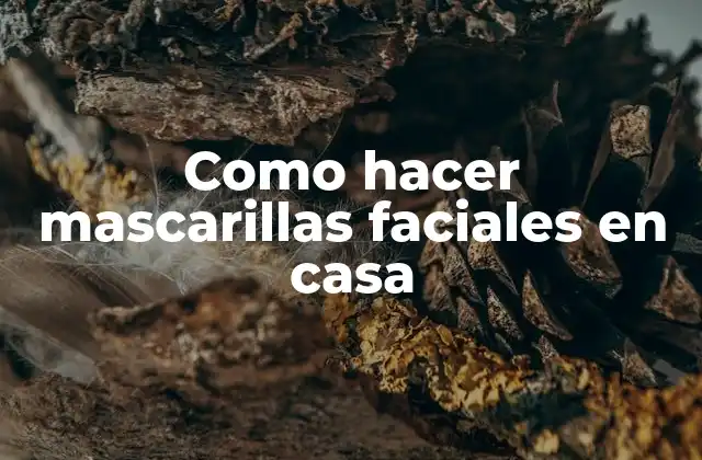 Como Hacer Mascarillas Faciales en Casa