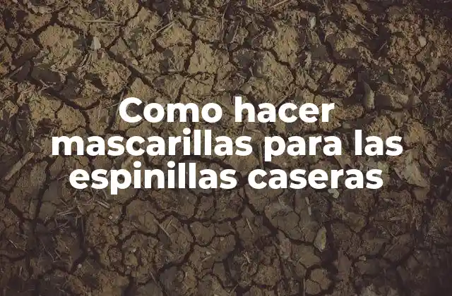 Como Hacer Mascarillas para las Espinillas Caseras