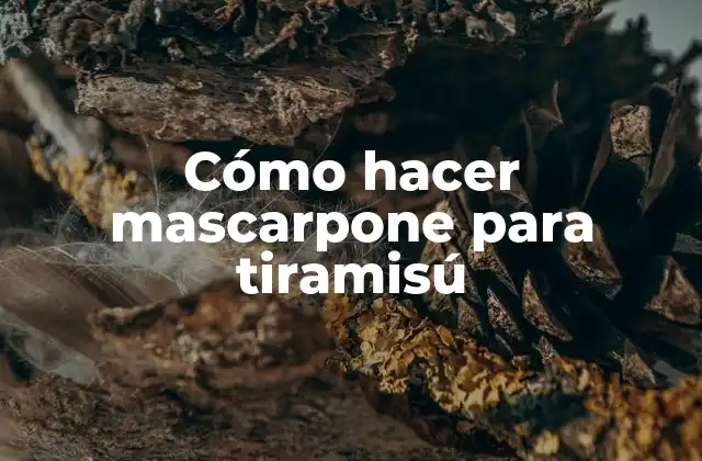 Cómo Hacer Mascarpone para Tiramisú