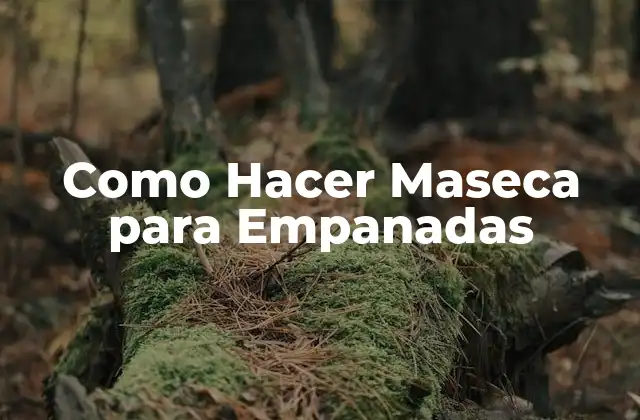 ¿Qué es la Maseca para Empanadas y Para Qué Sirve?