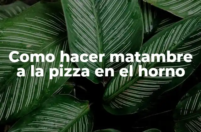 Como Hacer Matambre a la Pizza en el Horno