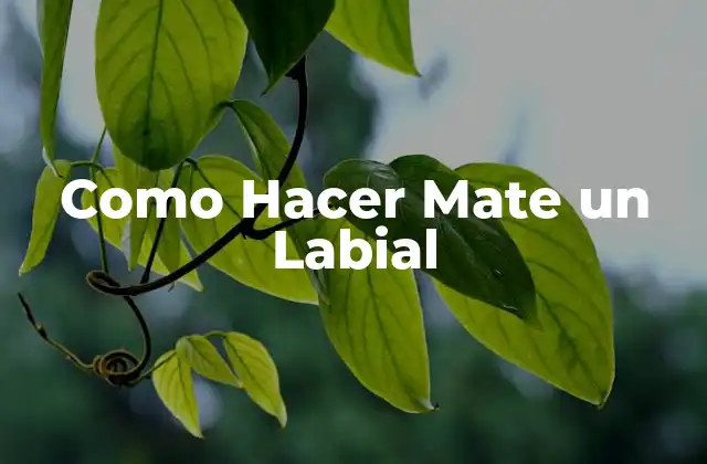 Como Hacer Mate un Labial