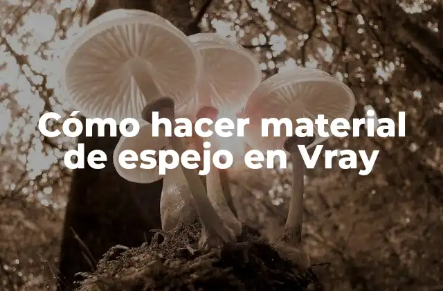 Cómo Hacer Material de Espejo en Vray