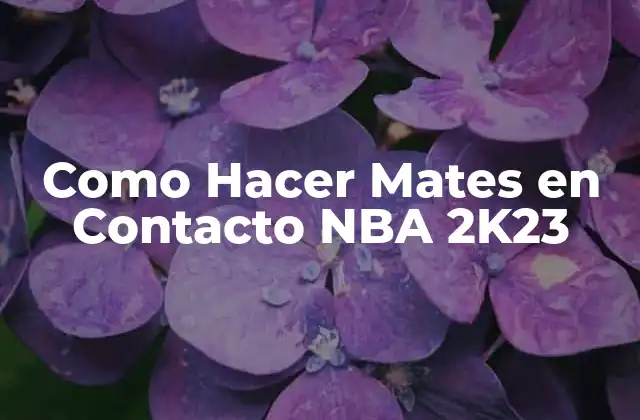 Como Hacer Mates en Contacto Nba 2k23
