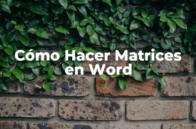 Cómo Hacer Matrices en Word