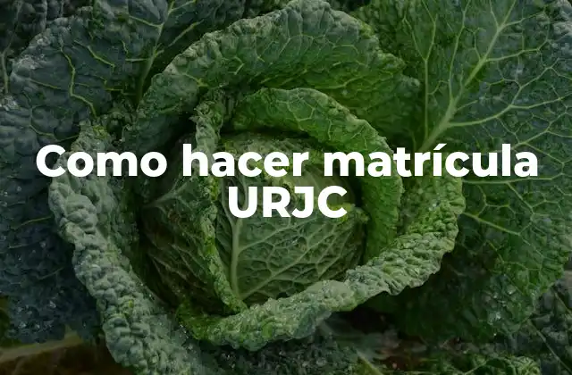 Como Hacer Matrícula Urjc 2 ¿Qué es la matrícula URJC y cómo funciona?