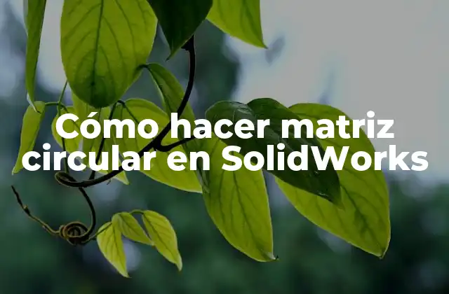 Cómo Hacer Matriz Circular en Solidworks