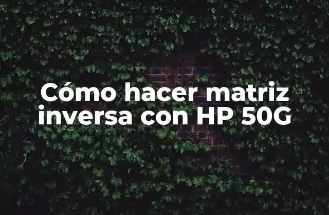 Cómo Hacer Matriz Inversa con Hp 50g