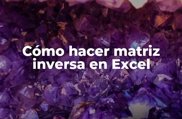 Cómo Hacer Matriz Inversa en Excel