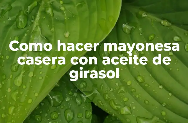 ¿Qué es la mayonesa casera con aceite de girasol?