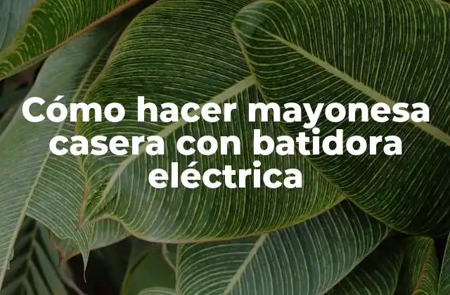 Cómo Hacer Mayonesa Casera con Batidora Eléctrica