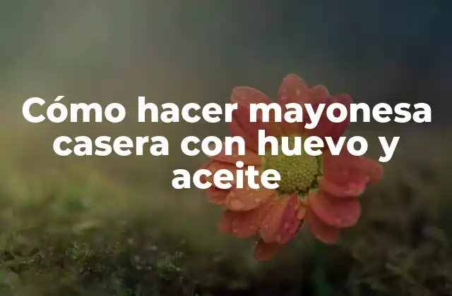 Cómo Hacer Mayonesa Casera con Huevo y Aceite