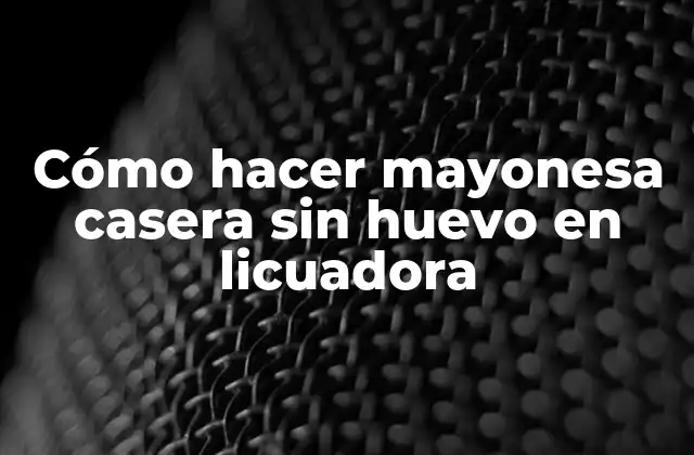 Cómo Hacer Mayonesa Casera sin Huevo en Licuadora 2 Cómo hacer mayonesa casera sin huevo en licuadora