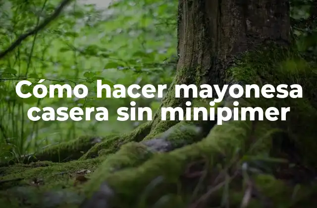 Cómo Hacer Mayonesa Casera sin Minipimer