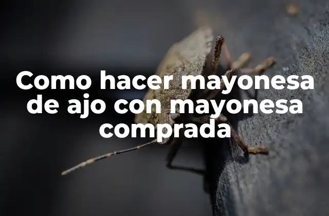 Como Hacer Mayonesa de Ajo con Mayonesa Comprada