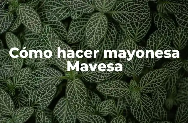 Cómo Hacer Mayonesa Mavesa