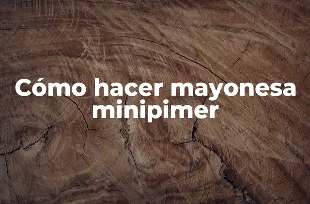 ¿Qué es la mayonesa minipimer y para qué sirve?