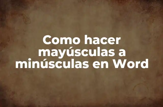Como Hacer Mayúsculas a Minúsculas en Word