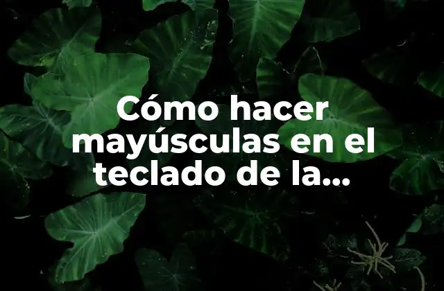 Cómo Hacer Mayúsculas en el Teclado de la Computadora