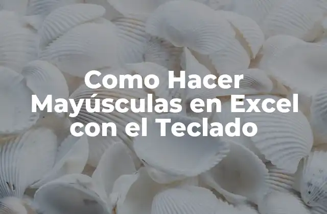 Como Hacer Mayúsculas en Excel con el Teclado