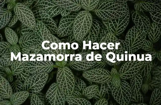 Como Hacer Mazamorra de Quinua