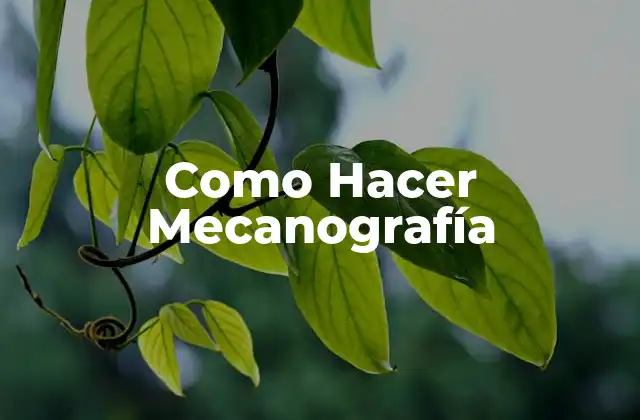 Como Hacer Mecanografía