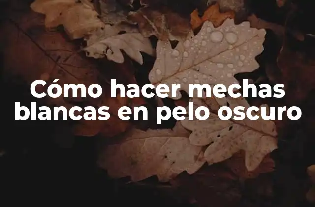 Cómo Hacer Mechas Blancas en Pelo Oscuro