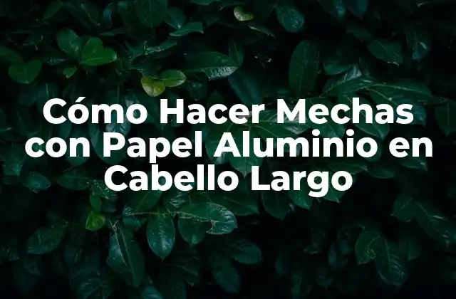 Cómo Hacer Mechas con Papel Aluminio en Cabello Largo
