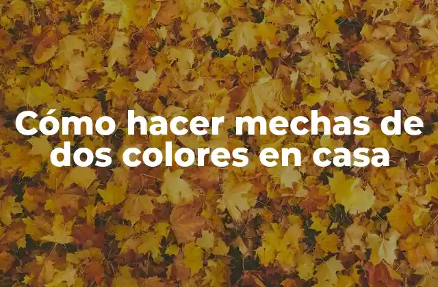 Cómo Hacer Mechas de Dos Colores en Casa