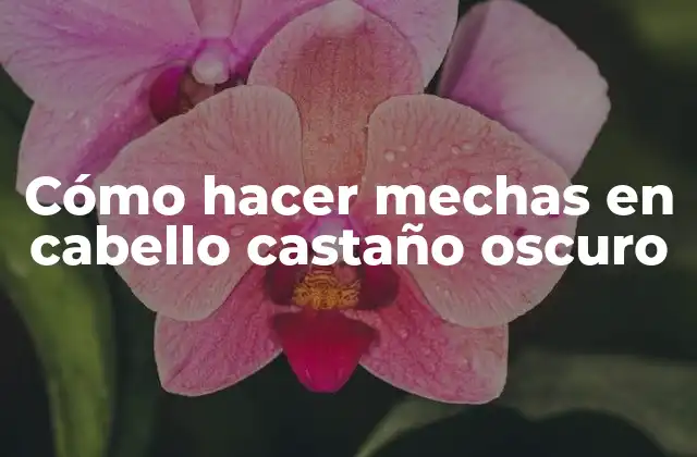 Cómo Hacer Mechas en Cabello Castaño Oscuro