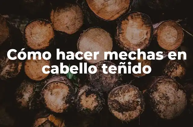 Cómo Hacer Mechas en Cabello Teñido