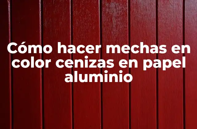 Cómo Hacer Mechas en Color Cenizas en Papel Aluminio