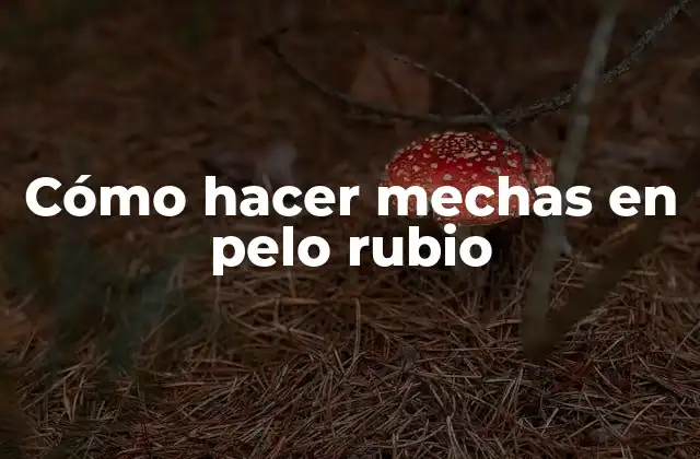 Cómo Hacer Mechas en Pelo Rubio