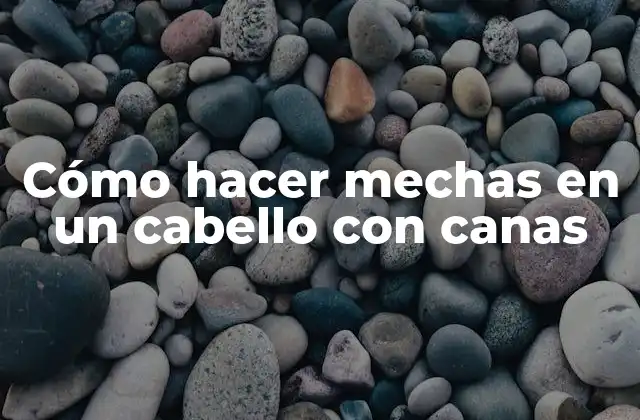 Cómo Hacer Mechas en un Cabello con Canas