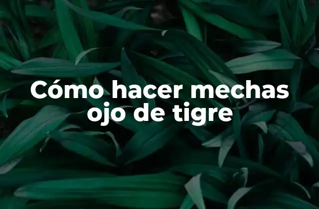 ¿Qué son las mechas ojo de tigre?