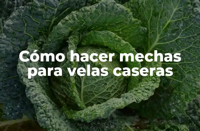 Cómo Hacer Mechas para Velas Caseras 2 Cómo hacer mechas para velas caseras