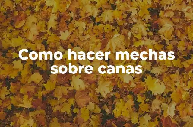 Como Hacer Mechas sobre Canas